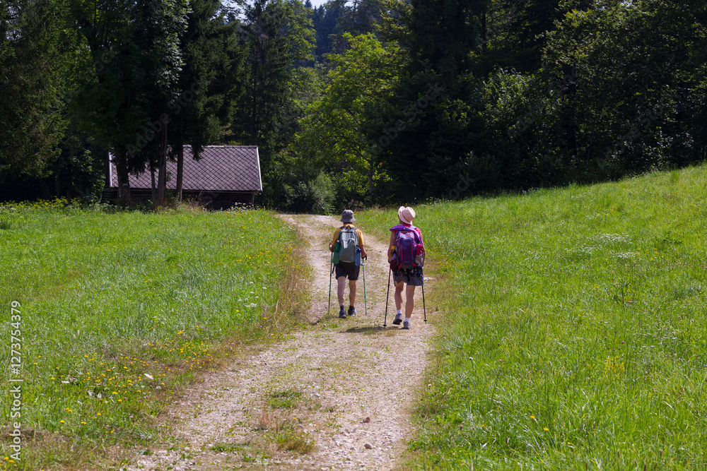 Fototapeta premium Hiking Couple on a quiet alpine path in Triglav National Park