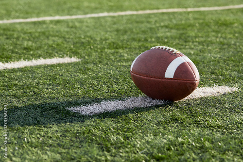 American football ball in field