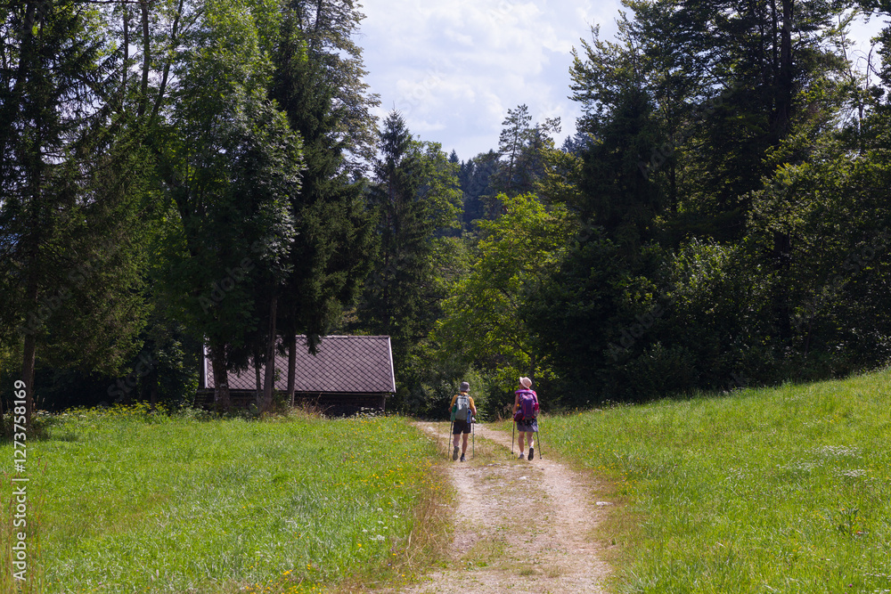 Hiking Couple on a quiet alpine path in Triglav National Park Hiking Couple on a quiet alpine path in Triglav National Park