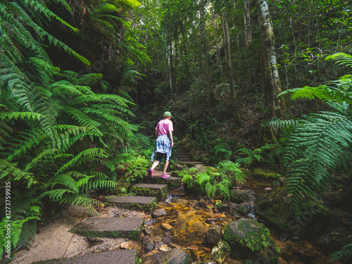 Rear view of woman walking on stone steps in forest photo