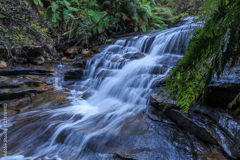 Rocky stream in forest, long exposure