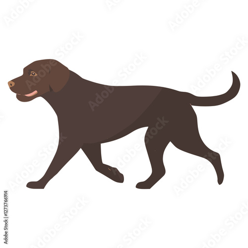 Drak brown Labrador retriever walking illustration animal canine vector