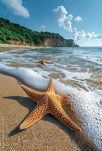 The description and keywords for your stock photo are as follows: a starfish on a tropical beach, gentle waves, and a sunny sky