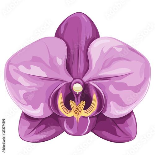 Orchid illustration flower purple vector
