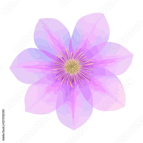 Clematis flower illustration purple vector
