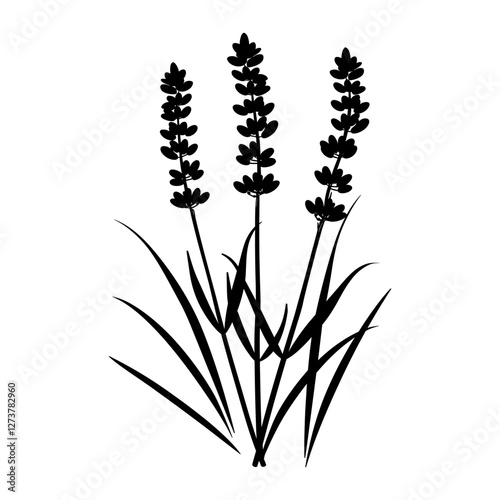 Lavender silhouette illustration plant vector