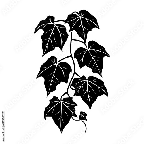 Ivy Leaf leaves leaf ivy vector