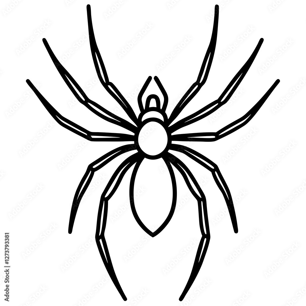 Minimalist Wolf Spider Line Art Vector