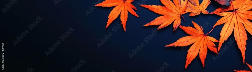 Delicate Momiji maple leaf silhouettes in bright orange over a white backdrop, seasonal and stylish natureinspired motif Delicate Momiji maple leaf silhouettes in bright orange over a white backdrop, seasonal and stylish natureinspired motif