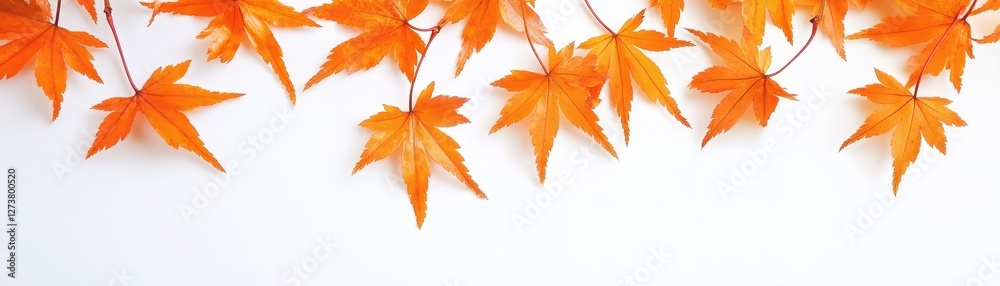 Delicate Momiji maple leaf silhouettes in bright orange over a white backdrop, seasonal and stylish natureinspired motif Delicate Momiji maple leaf silhouettes in bright orange over a white backdrop, seasonal and stylish natureinspired motif