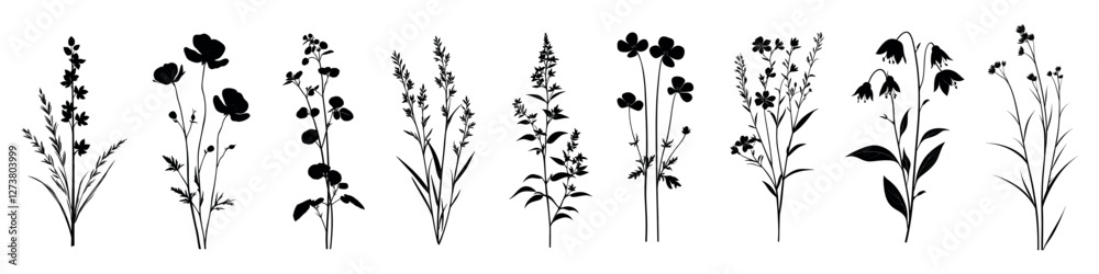 Naklejka premium Elegant floral silhouette vector collection, isolated vector set