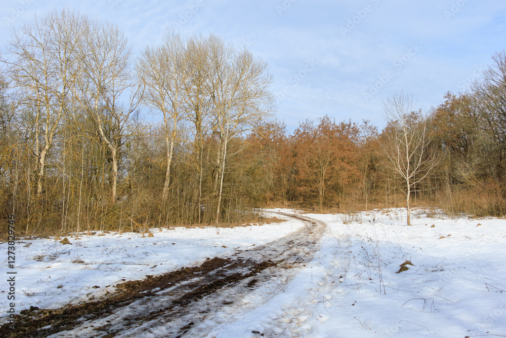 A dirt track winding through a snowy forest clearing with bare trees. Winter landscape in the countryside. A dirt track winding through a snowy forest clearing with bare trees. Winter landscape in the countryside.