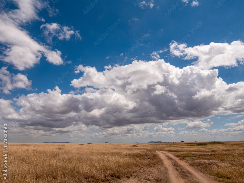 Fototapeta premium This picture shows the wonderful and vast landscape of the Serengeti.