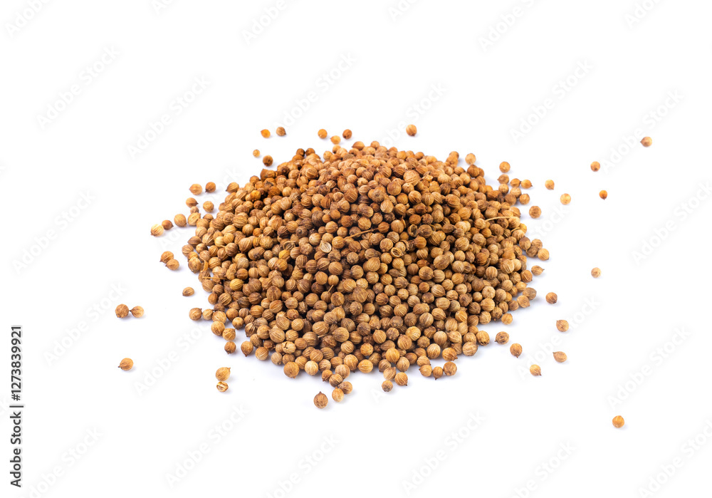 Coriander Seeds Isolated, Cilantro Grains, Chinese Parsley Seed Group, Dry Spices, Seasonings Coriander Seeds Isolated, Cilantro Grains, Chinese Parsley Seed Group, Dry Spices, Seasonings
