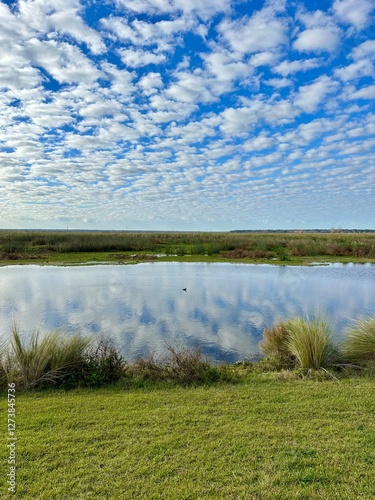 Landscape at Sweetwater Wetlands Preserve in Gainesville, FL