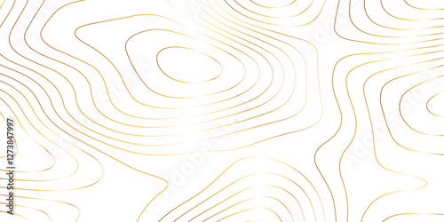 Abstract wave paper curved reliefs background .gradient multicolor wave curve lines banner background design .topographic contours map background .Vector geographic contour map.