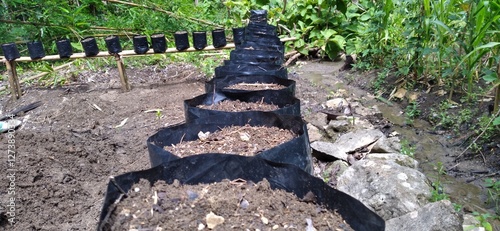 Neatly arranged rows of polybags filled with planting media, showcasing modern gardening or farming techniques. Ideal for illustrating urban farming, plant nurseries, or sustainable agriculture.