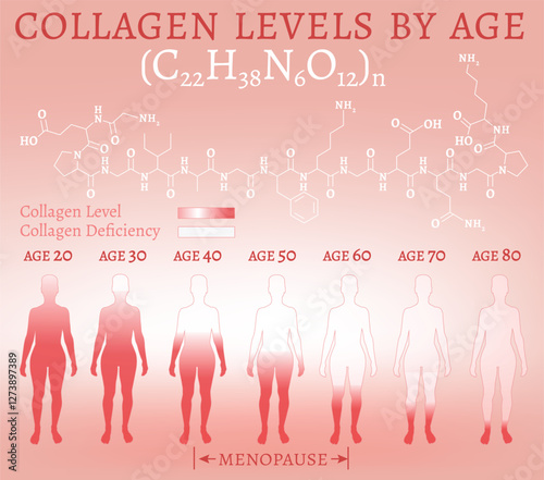Collagen production in women based on age.