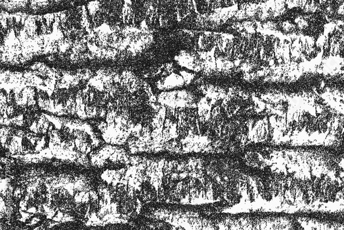 Abstract wood PNG pattern with texture for interior backgrounds and line art. Graphic elements designed for architectural and landscape designs, featuring patterns.