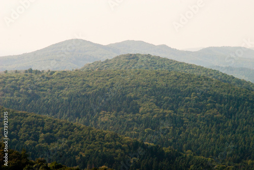 Teutoburger Forest in Lower Saxony