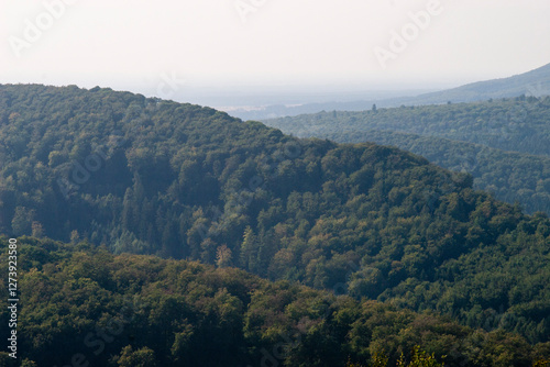 Teutoburger Forest in Lower Saxony