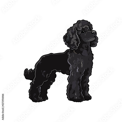 Elegant Black Poodle Standing Proudly Vector Illustration. Black poodle stands confidently with a poised posture. Curly fur and attentive gaze highlight its elegance. Ideal for dog breed enthusiasts 