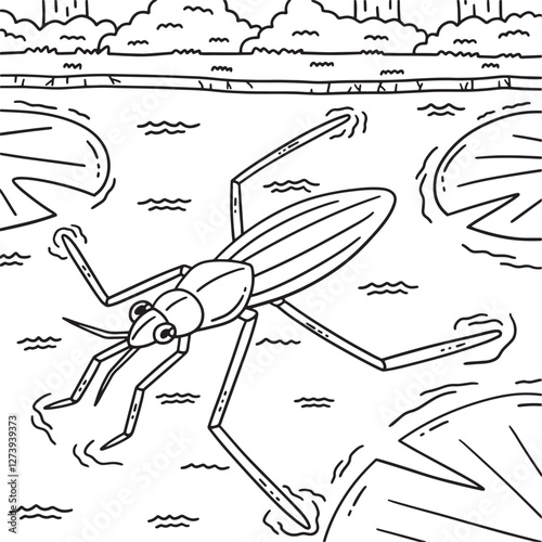 Insect Water Striders Animal Coloring Page 