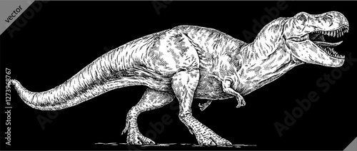 Vintage engraving isolated Tyranosaurus rex set illustration t-rex ink sketch. Dinosaur background Rex silhouette Jurassic art. Black and white hand drawn vector image