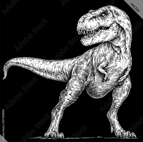 Vintage engraving isolated Tyranosaurus rex set illustration t-rex ink sketch. Dinosaur background Rex silhouette Jurassic art. Black and white hand drawn vector image