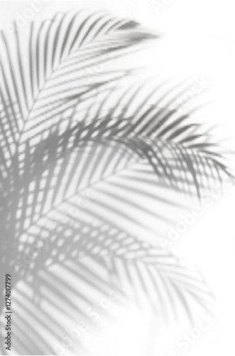 realistic palm leaf shadow overlay with a soft, tropical effect. Perfect for summer backgrounds, natural design elements, wallpapers, templates, and artistic photo compositions with a modern touch.