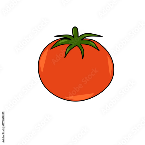 Vector illustration of a red tomato isolated on white , Tomato vector. Tomato on white background