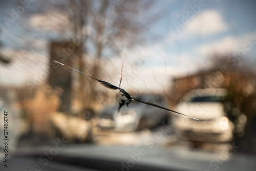 Obraz na płótnie car windscreen damage - chip on heated glass w salonie