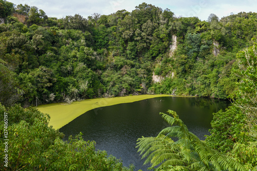 View at Waimangu Volcanic Valley national park in New Zealand