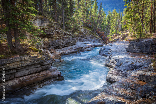 Forest river in Canadian Rockies 