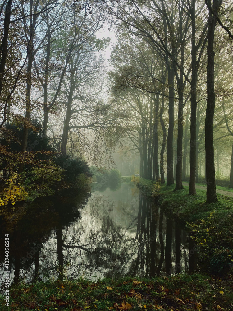 Autumn landscape of the dark forest