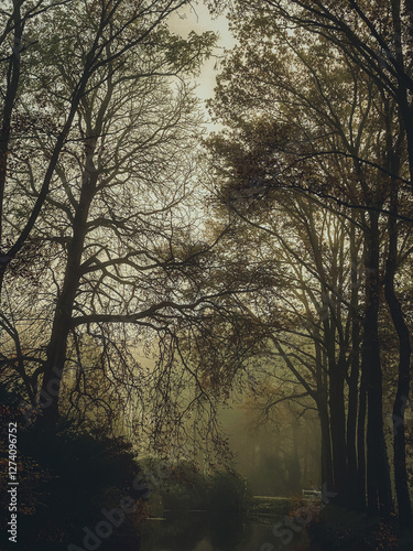Obraz na płótnie Gloomy dark forest w salonie