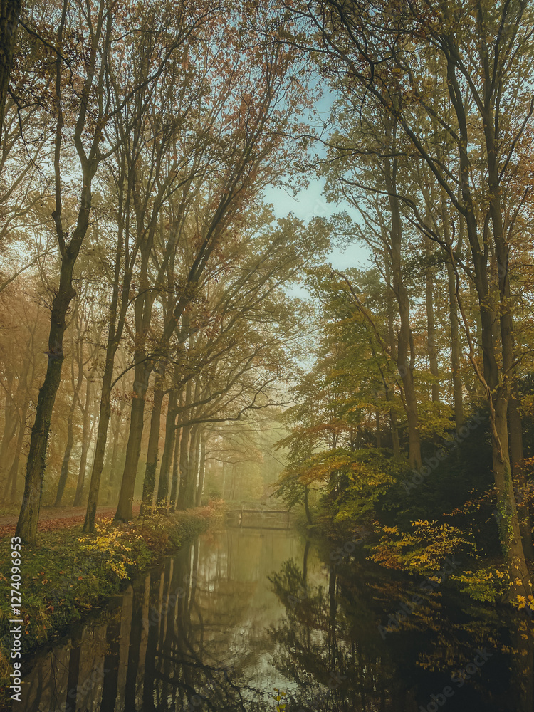 autumn trees reflected in water