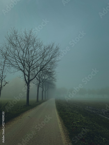 Obraz na płótnie foggy morning in the forest w salonie