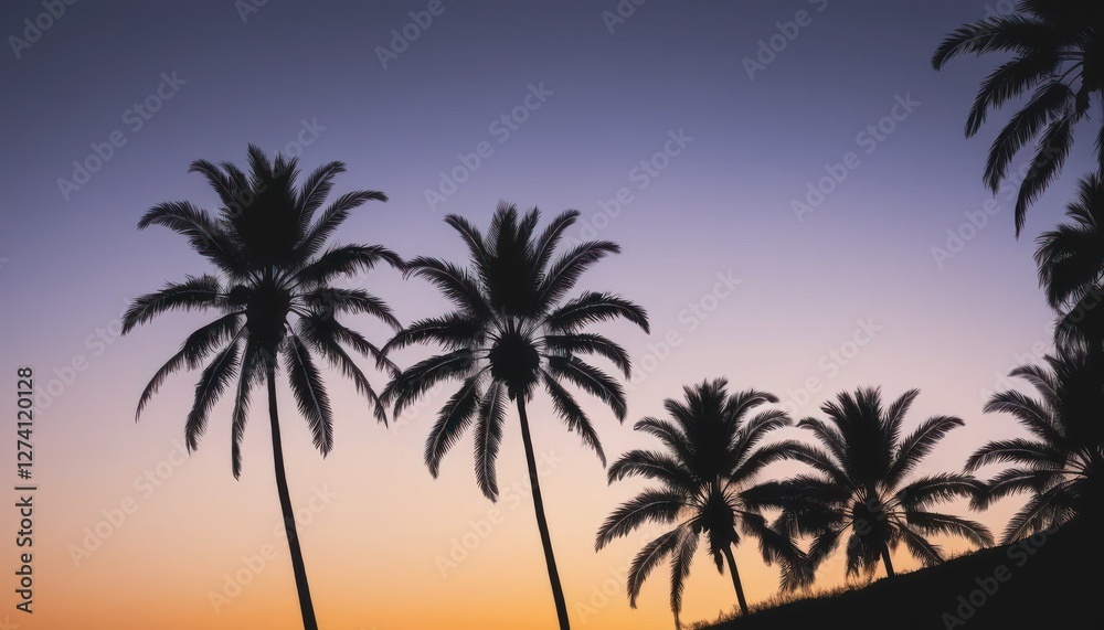 Monochromatic Palm Fronds on Sunset Gradient Monochromatic Palm Fronds on Sunset Gradient