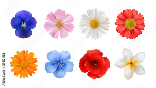 Blooming flora with tender petals. Vector realistic set of flowers, floristry design. Chamomile and gerbera, jasmine and poppy, calendula and viola. Tropical and wildflowers florist decoration