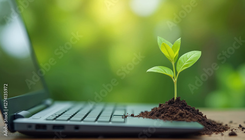 Green plant grows on laptop keyboard environmentally sustainable, tech, eco-friendly practices. Green background emphasizes info tech, digital transformation. Innovation meets nature. Sustainable