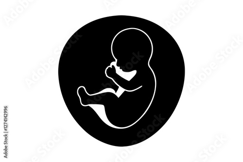 Human fetus silhouette on white background