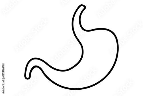 Stomach Icon silhouette on white background