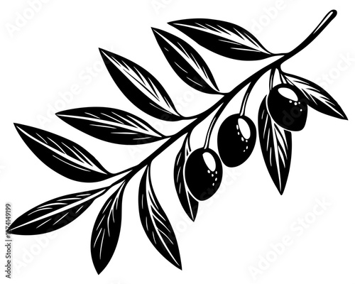 A simple, elegant silhouette of an olive branch with leaves and olives.