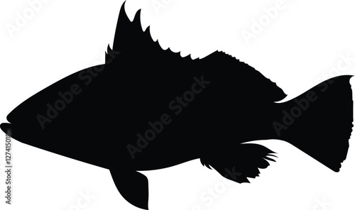 Silhouette sand bass fish isolated on white background, vector illustration