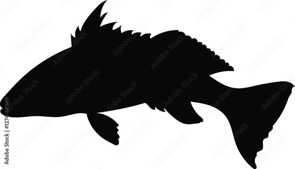 Silhouette sand bass fish isolated on white background, vector illustration Silhouette sand bass fish isolated on white background, vector illustration
