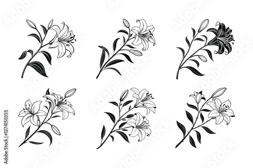 Lily (Lilium spp.) silhouette vector illustration