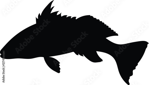 Silhouette sand bass fish isolated on white background, vector illustration