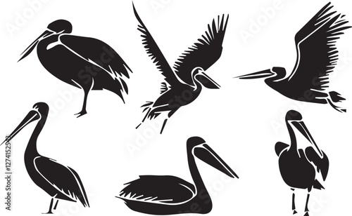 Pelican Bird Silhouette