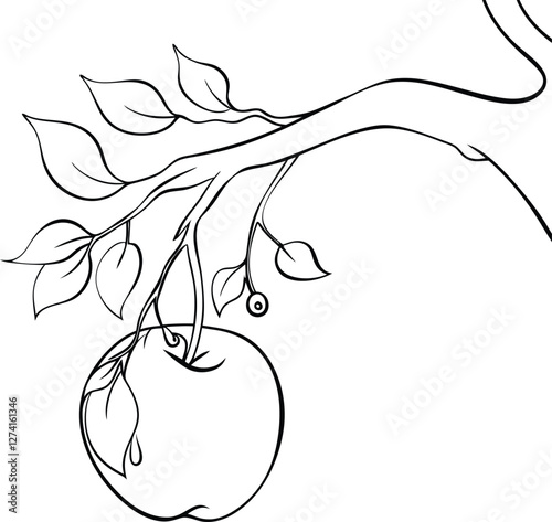 Apple Tree Branch, Leaves, Fruit, Drawing, Line Art, Simple, Black, White, Illustration, Nature